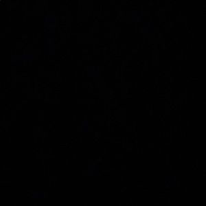 Meet your Posher, Jillena